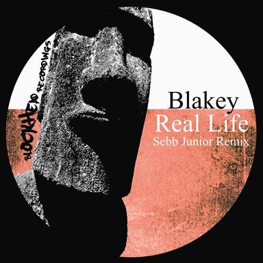 Real Life - Sebb Junior Remix