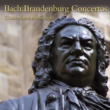 Brandenburg Concerto No. 1 in F major, BWV 1046: II. Adagio