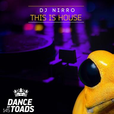 This Is House - Radio Edit