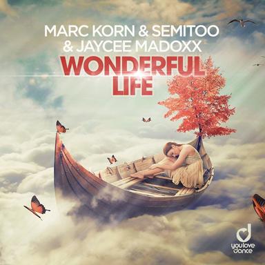 Wonderful Life - Steve Modana Extended Mix