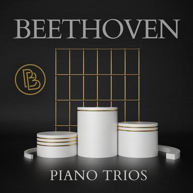 Piano Trio No. 1 in E-Flat Major, Op. 1 No. 1: I. Allegro