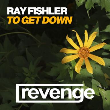 To Get Down - Jungle Jaxx Dub Mix