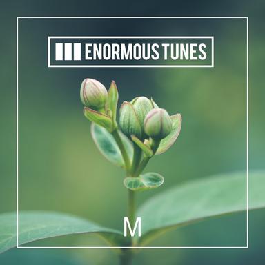 Enormous Tunes