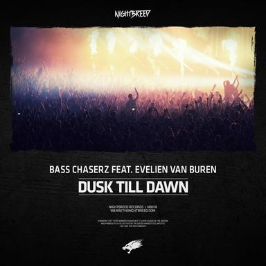 Dusk Till Dawn