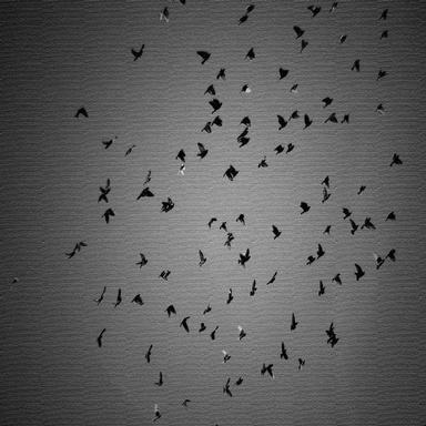 Kartkle