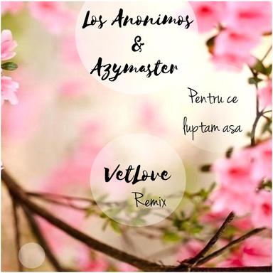 Pentru Ce Luptam Asa - VetLove Extended Remix