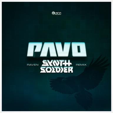 Raven - Synthsoldier Remix Edit