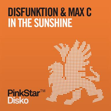 In the Sunshine - Original Mix