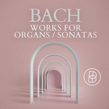 Organ Sonata No. 3 in D Minor, BWV 527: I. Andante