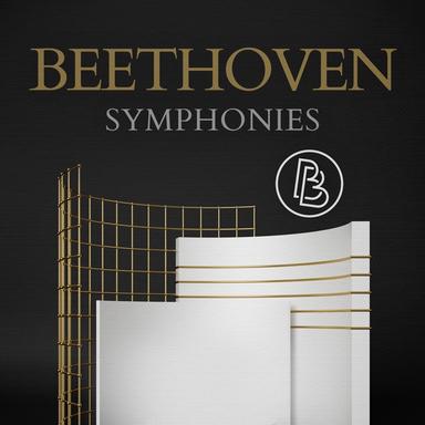 Symphony No. 9 in D Minor, Op. 125 "Choral": II. Scherzo (Molto vivace)