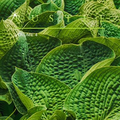 Shopping with a Smile on Your Face