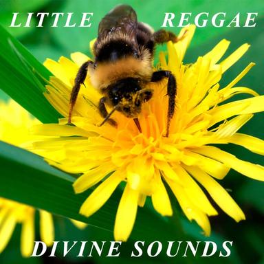 Little Reggae