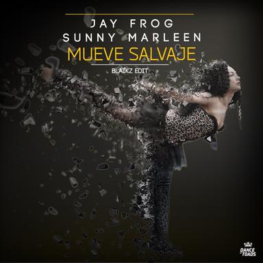 Mueve Salvaje - Blaikz Radio Edit