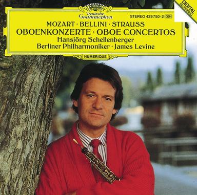 Concerto for Oboe and Small Orchestra in D major: Allegro