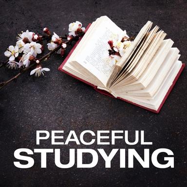 Peaceful Studying