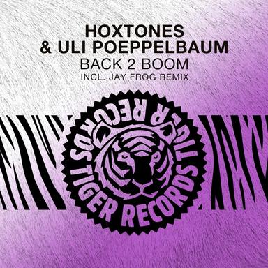 Back 2 Boom - Jay Frog Remix