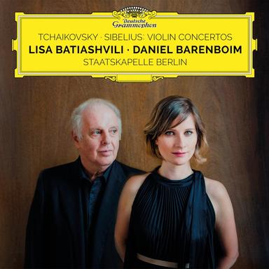 Concerto for Violin and Orchestra in D Major, Op. 35, TH 59: III. Finale. Allegro vivacissimo