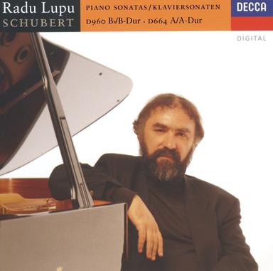 Piano Sonata No. 21 in B-Flat, D. 960: II. Andante sostenuto
