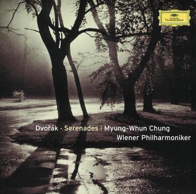 Serenade for Strings in E, Op. 22: IV. Larghetto