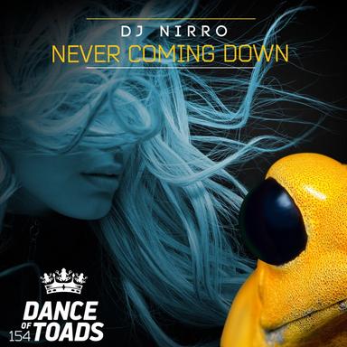 Never Coming Down - Extended Mix