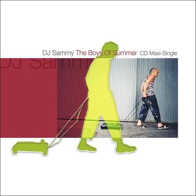 The Boys of Summer (Radio Version)