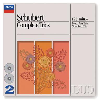 Piano Trio No. 2 In e Flat, Op. 100 D. 929: II. Andante Con Moto