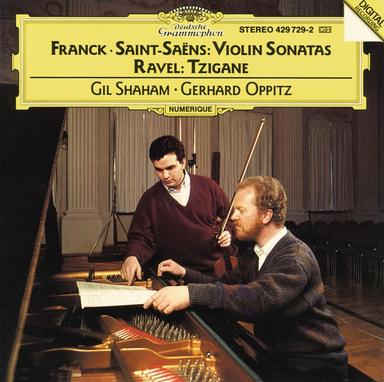 Sonata No. 1 in D Minor for Violin & Piano, Op. 75, R.123: 2. Allegretto moderato - Allegro molto