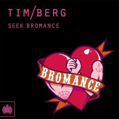 Seek Bromance (Avicii Vocal Edit)