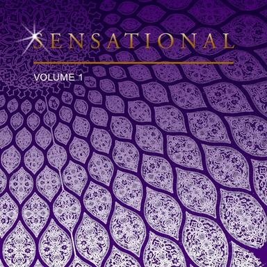 Sensational, Vol. 1