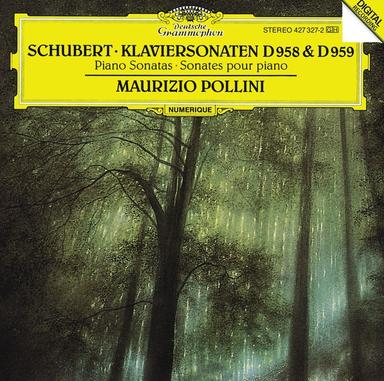 Piano Sonata No. 19 in C Minor, D. 958: III. Menuetto (Allegro)