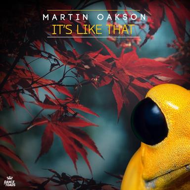It's Like That - Radio Edit