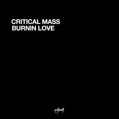Burnin Love - DJ Weirdo & DJ Sim 173.683 Remix