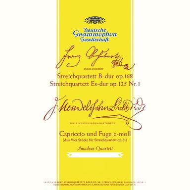 String Quartet No. 10 In E Flat Major, D.87: 1. Allegro moderato
