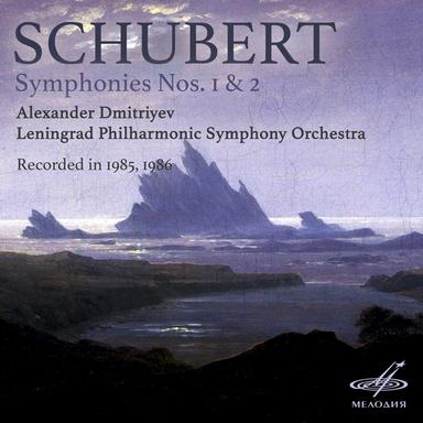 Symphony No. 1 in D Major, D. 82: I. Adagio - Allegro vivace
