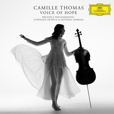 Concerto for Cello and Orchestra "Never Give Up", Op. 73: 2. Terror - Elegy