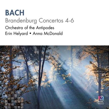 Brandenburg Concerto No. 5 in D Major, BWV 1050: III. Allegro