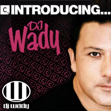 Needin U - DJ Wady Ibiza Mix