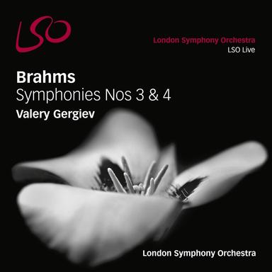 Symphony No. 3 in F Major, Op. 90: III. Poco allegretto