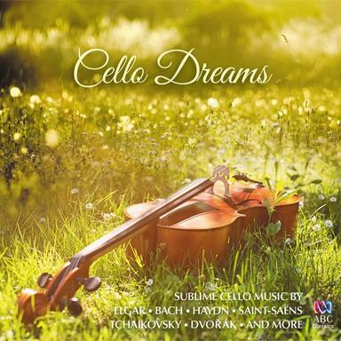 Sonata for cello and cello continuo in D Minor, Op. 50 No. 4: 3. Sarabanda