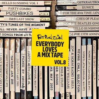 Everybody Loves A Mixtape, Vol. 8: All The Ladies (DJ Mix)