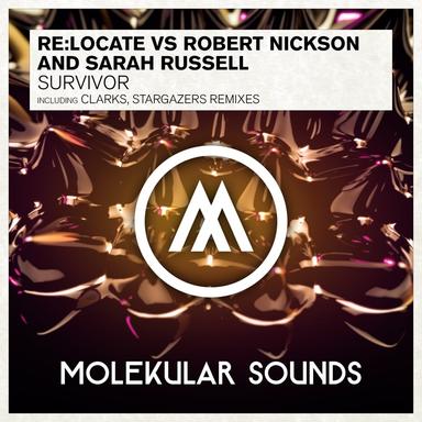 Survivor - Stargazers Radio Edit