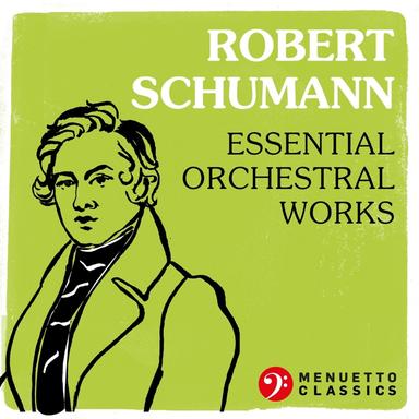 Symphony No. 3 in E-Flat Major, Op. 97 "Rhenish": III. Nicht schnell