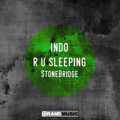 R U Sleeping - Stonebridge Remix