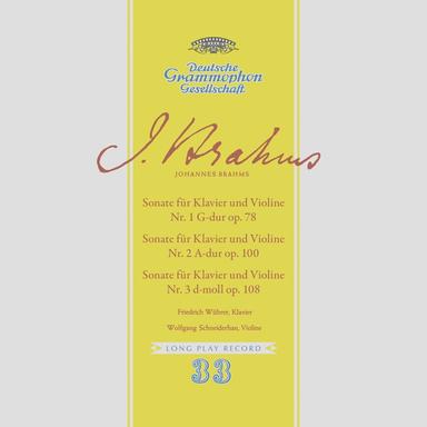 Violin Sonata No. 1 in G Major, Op. 78: I. Vivace ma non troppo