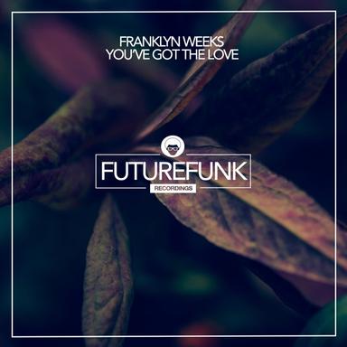 You've Got The Love - Club Mix
