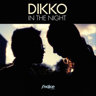 In the Night - Radio Mix