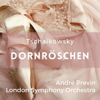 The Sleeping Beauty, Op. 66, Act I "The Spell": No. 9, Finale