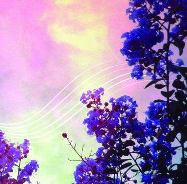 Twilight Of Melancholy