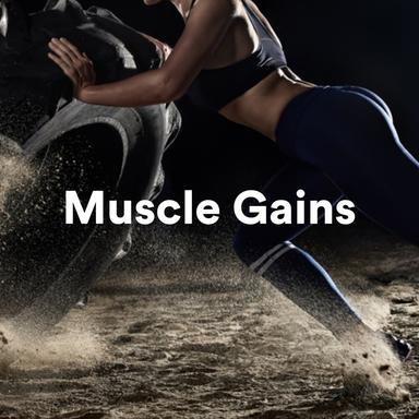 Muscle Gains