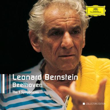 Symphony No. 9 in D Minor, Op. 125 "Choral": IVa. Presto -